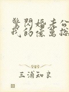 惊闪婚老公竟是我的亿万总裁