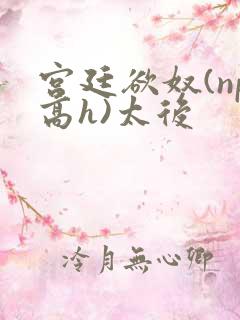 宫廷欲奴(np高h)太后