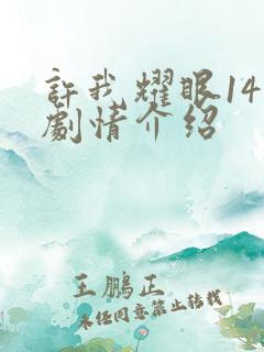 许我耀眼14集剧情介绍