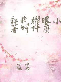 许我耀眼小说原著叫什么