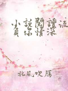 小说阅读流年不负你情深