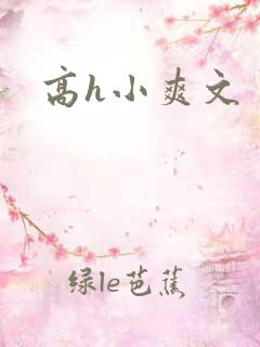高h小爽文