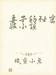 妻子的秘密完整版小说