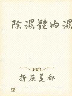 除湿体内湿气重