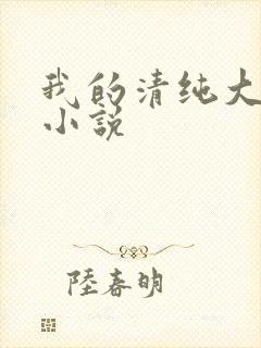 我的清纯大小姐小说