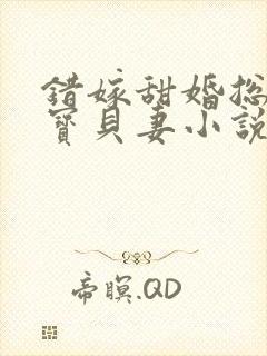 错嫁甜婚总裁的宝贝妻小说完整版