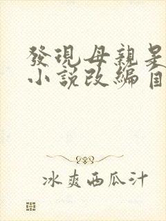 发现母亲是小姐小说改编自哪部小说