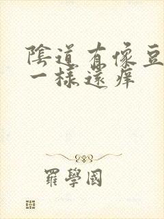 阴道有像豆腐渣一样还痒