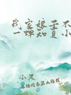 我家娘子不对劲一蝉知夏小说全集目录