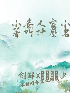 小巷人家小说原著叫什么名字