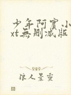 少年阿宾小说txt无删减版