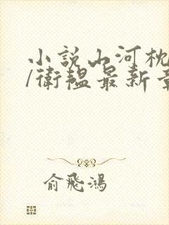 小说山河枕楚瑜/卫韫最新章节阅