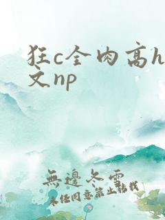 狂c全肉高h辣文np