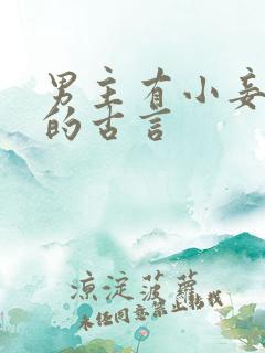 男主有小妾通房的古言