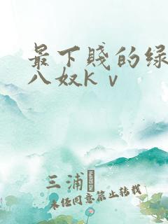 最下贱的绿帽王八奴kⅴ