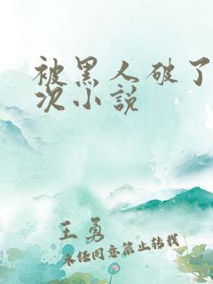 被黑人破了第一次小说