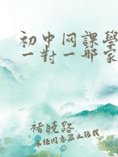 初中网课学英语一对一哪家好