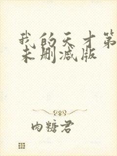 我的天才第二季未删减版