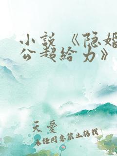 小说 《隐婚老公超给力》