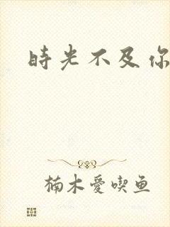 时光不及你深情