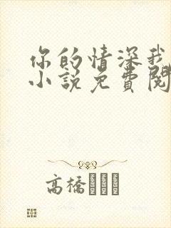 你的情深我不配小说免费阅读无弹窗