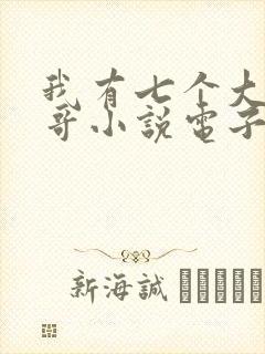 我有七个大佬哥哥小说电子版txt