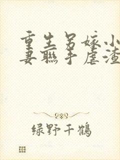 重生另嫁小叔夫妻联手虐渣免费阅读