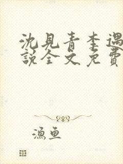 沈见青李遇泽小说全文免费阅读