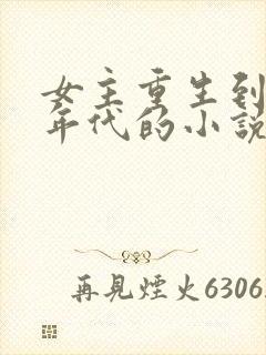 女主重生到八十年代的小说