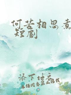 何苦相思煮余年 短剧