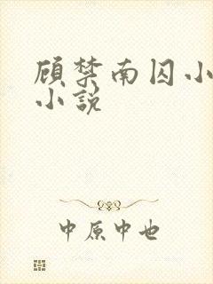 顾禁南囚小说啥小说