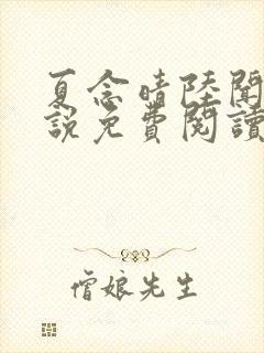 夏念晴陆闻琛小说免费阅读最新章节