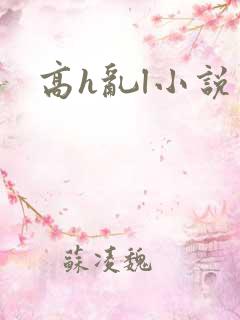 高h乱l小说