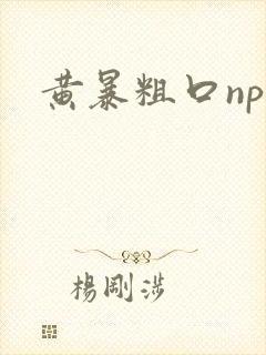黄暴粗口np文