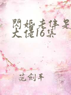 闪婚老伴是豪门大佬16集