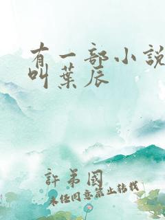 有一部小说主角叫叶辰