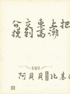 公交车上把少妇摸到高潮