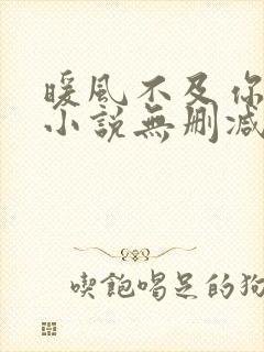 暖风不及你情深小说无删减在线阅读