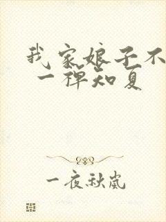 我家娘子不对劲 一禅知夏