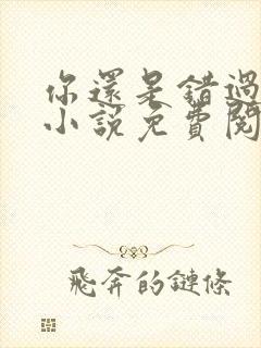 你还是错过了我小说免费阅读全文