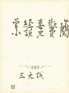 曾经喜欢你的我小说免费阅读