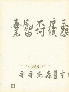 春风不度玉门关羌笛何须怨杨柳