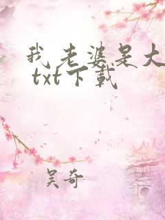 我老婆是大明星 txt下载