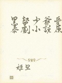 黑帮少爷爱上我泰剧小说原著