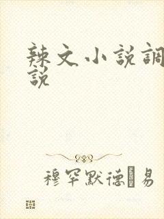 辣文小说调教小说