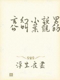 玄幻小说男主人公叫叶观的小说