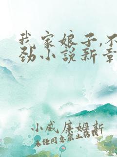 我家娘子,不对劲小说新章节列表