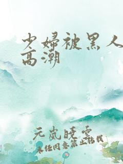 少妇被黑人肉到高潮