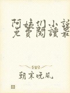 阿姨们小说全文免费阅读最新章节