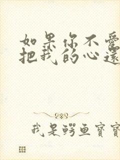 如果你不爱我就把我的心还我是什么歌